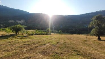 Torpaq sahələrinin satışı: Lerik rayonu Vizəzəmin kəndi ərazisində yerləşən ərazini tədqim — 7