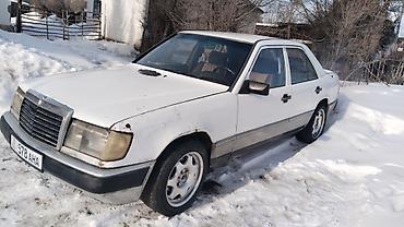 Mercedes-Benz: Mercedes-Benz E-Class: 1987 г., 2.5 л, Механика, Дизель, Седан — 8