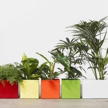 Bitkilər üçün dibçəklər: Her razmir de özel dibcek istehsal edirik. Qvadrat ve adede gore — 7