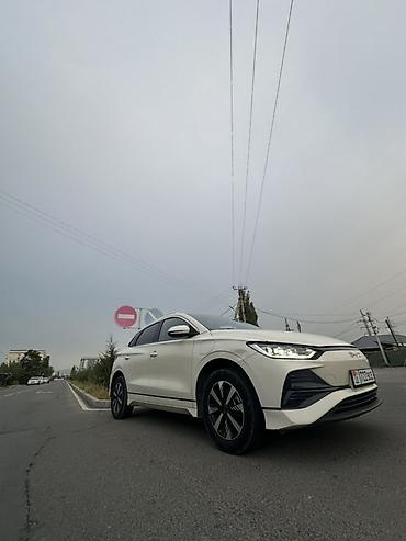 BYD: BYD E2: 2023 г., Автомат, Электромобиль, Хэтчбэк — 14