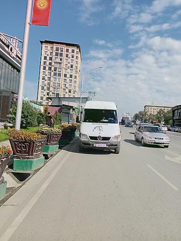 sprinter 516: Mercedes-Benz Спринтер: 2003 г., Бус — 2