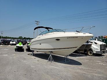 Водный транспорт: Купим и доставим спортивные лодки и прогулочные катера под заказ Вся — 17