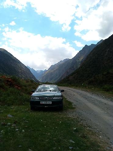 e klass: Nissan Primera: 1999 г., 2 л, Механика, Бензин, Хэтчбэк — 1