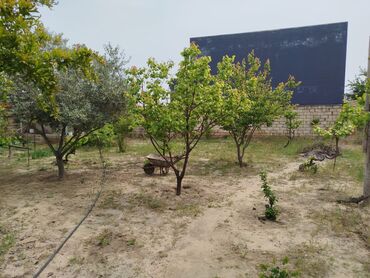 Bağ evlərinin satışı: Digah, 144 kv. m, 4 otaqlı, Hovuzsuz, Kombi, Qaz, İşıq — 2