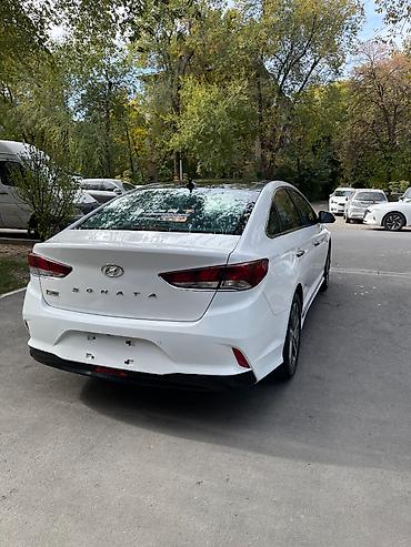 sonata nf: Hyundai Sonata: 2020 г., 2 л, Автомат, Гибрид, Седан — 3