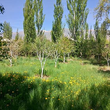 Продажа коттеджей и домов: 🏡Продаётся дом с участком в живописном селе Кара-Ой, на побережье — 8