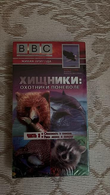 cd pleyer: Məhsul: VHS kasetlər toplusu - BBC “Живая природа” seriyası – — 1