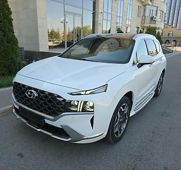 Hyundai: Hyundai Santa Fe: 2021 г., Автомат — 29