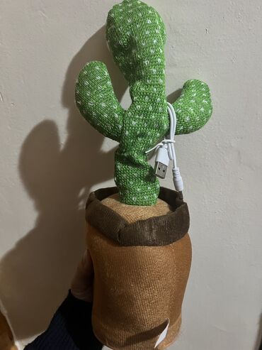 kaktus oyuncaq qiymeti: Kaktus oyuncaq teze alinib isledilmediyi ucun satilir. tezedir.10 azn