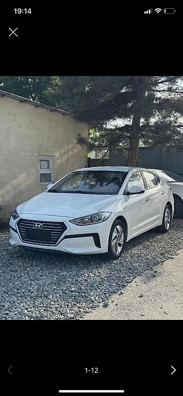 byd e1: Hyundai Elantra: 2019 г., 1.6 л, Автомат, Электромобиль — 1