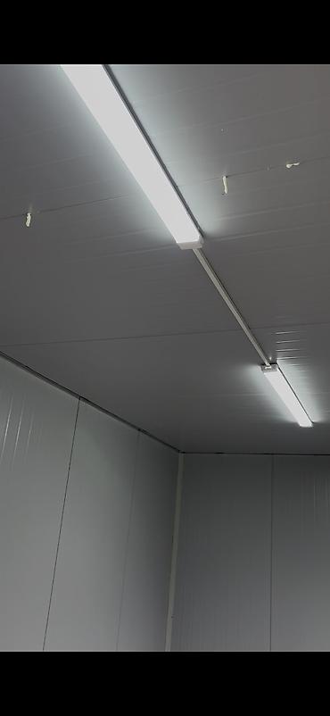 ist акр: 5 соток, Красная книга — 8