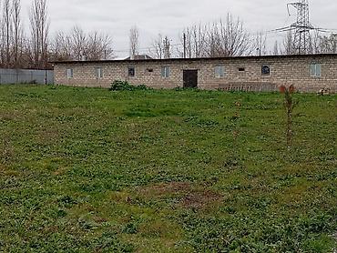 bilgeh ev satilir: 70 sot — 2