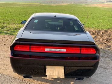 Dodge: Dodge Challenger: 2014 г., 3.6 л, Типтроник, Бензин, Купе — 10