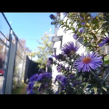 Сварка: Сварка | Ворота Доставка, Монтаж, Демонтаж — 7