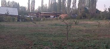 Продажа участков: 30 соток at lalafo.kg — 12 Продажа участков: 30 соток — 12