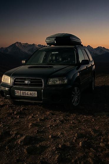 продажа форестер: Subaru Forester: 2003 г., Автомат, Универсал — 4