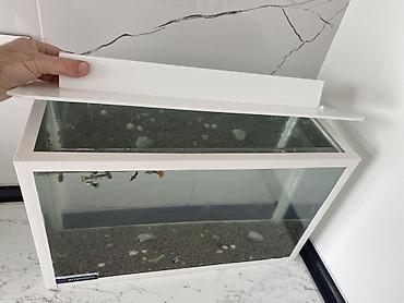 akvarium xırda balığı: Dördbucaq akvarium, Balıqlarla birlikdə, 20 l, Ünvandan götürmə — 4