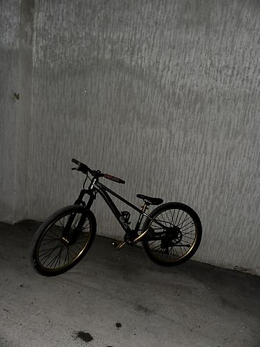 vinil disk: Şəhər və yüngül off-road üçün yığılımış tək sürətli velosiped - — 1