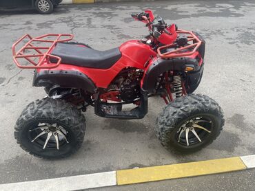 Kvadrosikllar: 200 sm3, 2022 il, 2900 km — 7