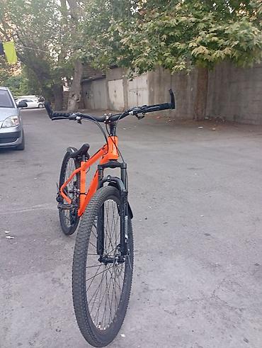 13,14 günün velosudur dağ velosipetidir bir dənə problemi arxa tormuz
