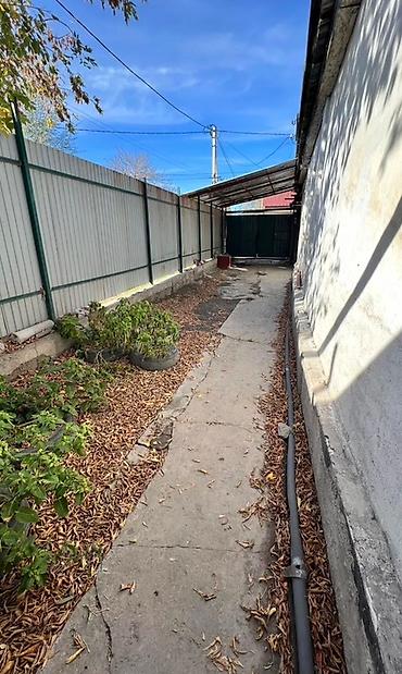 Долгосрочная аренда домов: 46 м², 3 комнаты — 12