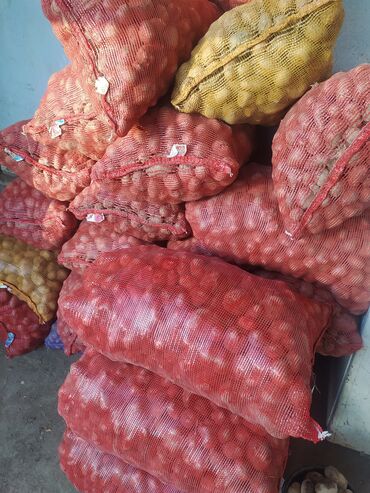 Корма для с/х животных: Продаётся фуражный картофель сухой без гнили