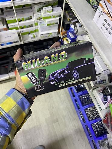 keyless go: Система бесключевого доступа MILANO (Remote Control Keyless Entry — 1