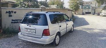 honda odyssey 97: Honda Odyssey: 1997 г., Минивэн — 1