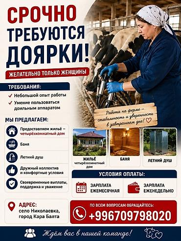 Сельское хозяйство: Срочно требуются доярки (предпочтительно женщины). Требования: - — 1
