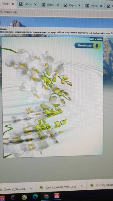 Натяжной потолок: Натяжной потолок Глянцевое, Матовое, 3D потолки Бесплатная консультация, Демонтаж, Бесплатный замер — 6