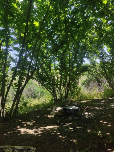 Torpaq sahələrinin satışı: 20 sot, Tikinti, Mülkiyyətçi, Kupça (Çıxarış), Texniki pasport — 2