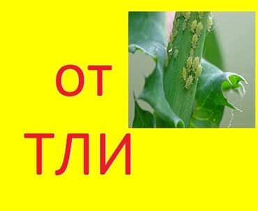 аммиак водный 25 аммиачная вода: Удобрение Пестицид, Платная доставка