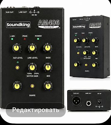 kalonka ses: MİKSER Soundking AM406 Pre-Amp DI — 1