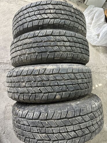 Шины: Шины 245 / 65 / R 17, Лето, Новый, Комплект, Внедорожные (АТ/МТ) at lalafo.kg Шины: Шины 245 / 65 / R 17, Лето, Новый, Комплект, Внедорожные (АТ/МТ)
