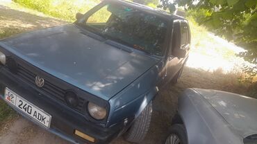 fit rs: Volkswagen Golf: 1990 г., 1.6 л, Бензин