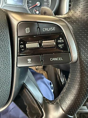 Kia: Kia Sorento: 2020 г., 2.2 л, Автомат, Дизель, Кроссовер — 9