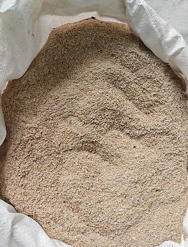 аквариумные рыбки каталог цены: Продаётся фуражная кукуруза, для кормления сельскохозяйственных — 4