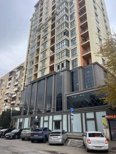 Yeni tikili: 2 otaqlı, Yeni tikili, m. Elmlər Akademiyası, 91 kv. m