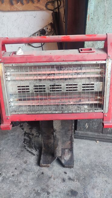 отдам даром вислоухого котенка: Отдам бесплатно,полностью рабочий