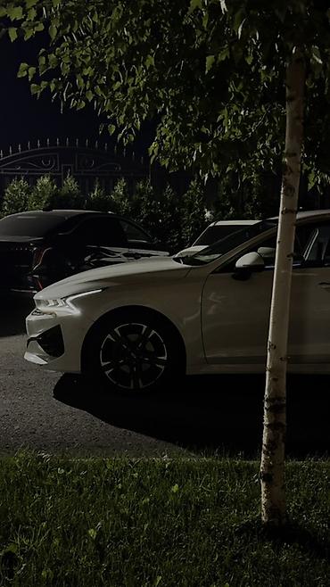 kaiyi e5: Kia K5: 2019 г., 2 л, Автомат, Бензин, Седан — 3