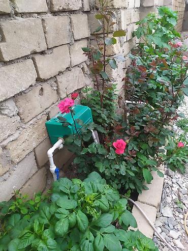 ev tecili satilir: 3 otaqlı, 3 kv. m, Kredit yoxdur, Təmirsiz — 5