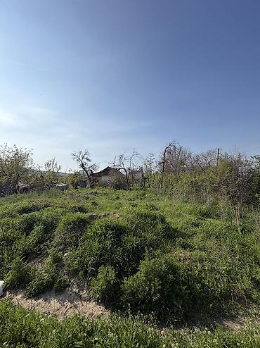 Продажа участков: 5 соток, Для строительства, Красная книга, Договор купли-продажи — 9