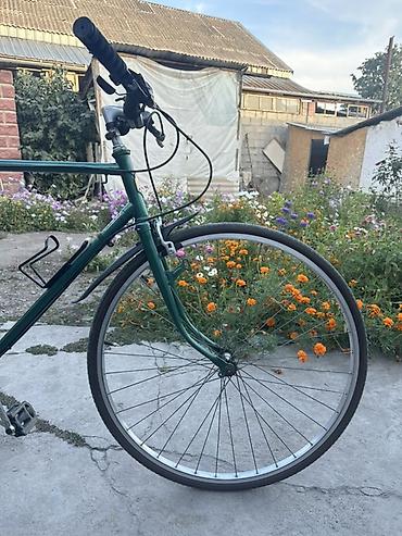 a 210: Городской велосипед с дорожной рамой и прямым рулём. Характеристики — 6