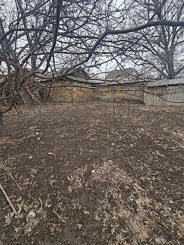 Sale of cottages and houses: Продаётся участок по первой линии Лебединовка напротив магазина Шекер — 4