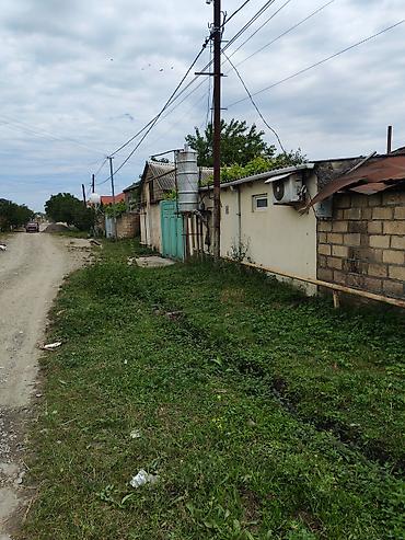 əmlak az: Satılır: Ferma satılır heyvandarlıq üçün təsərrüfat sahəsi və həyət — 3