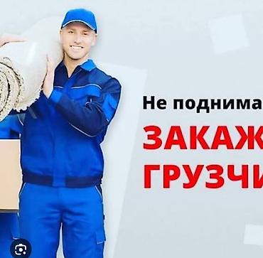 Грузчики: Грузчик. С опытом — 16