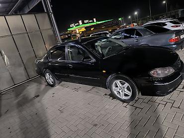 p11: Nissan Primera: 2000 г., 2 л, Седан — 4