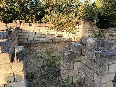 visnofkada torpaq: Tikinti — 2