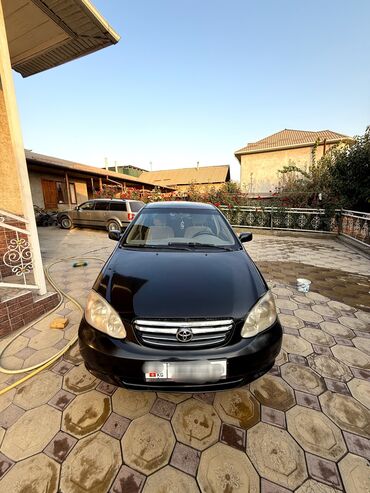 купить авто до 4000 долларов: Toyota Corolla: 2002 г., 1.6 л, Автомат, Газ, Седан