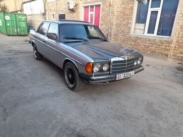 дипломат 126: Mercedes-Benz W123: 1983 г., 2.5 л, Автомат, Бензин, Седан